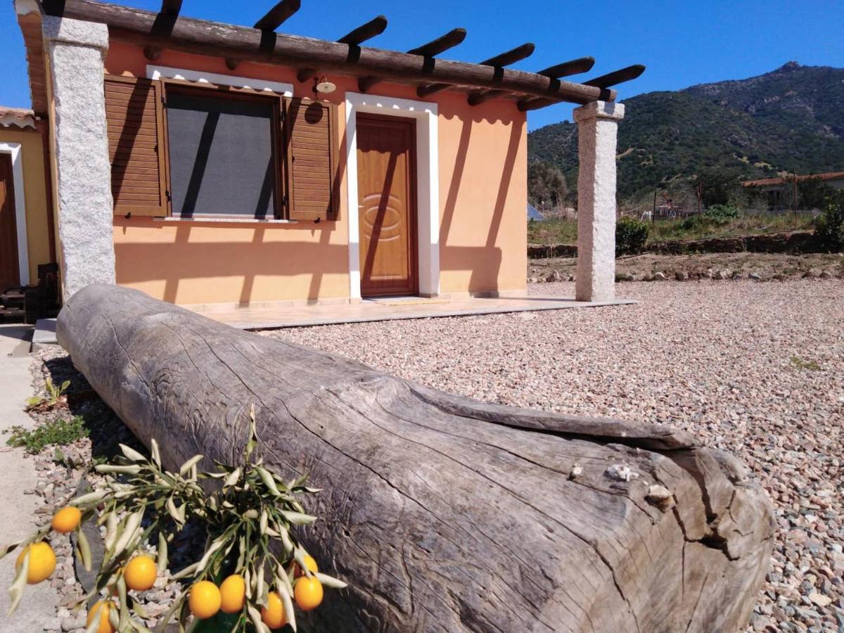 Agriturismo Donnolu Tertenìa Zewnętrze zdjęcie