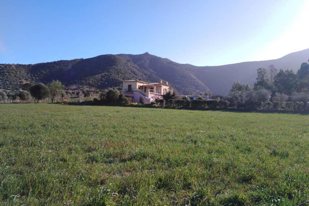 Agriturismo Donnolu Tertenìa Zewnętrze zdjęcie