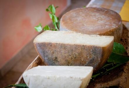 Agriturismo Donnolu Tertenìa Zewnętrze zdjęcie
